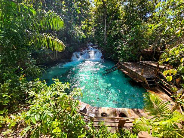 Visita ao Fervedouro Bela Vista Tocantins Adentro